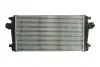 Інтеркулер THERMOTEC DAX013TT (фото 1)
