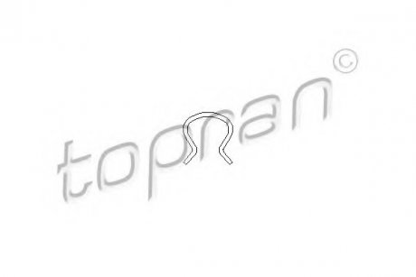 Пружина замка спіральна TOPRAN / HANS PRIES 205431 (фото 1)