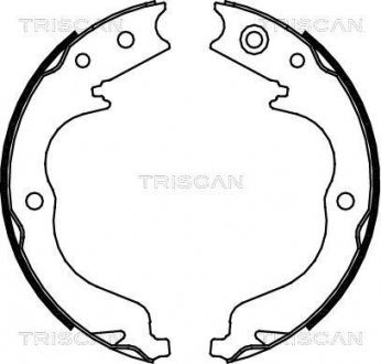 Комплект тормозных колодок, Стояночный тормоз TRISCAN 810010029 (фото 1)