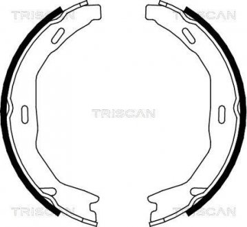 Комплект тормозных колодок, Стояночный тормоз TRISCAN 810023029 (фото 1)