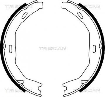 Комплект гальмівних колодок, Стоянкове гальмо TRISCAN 810023029 (фото 1)