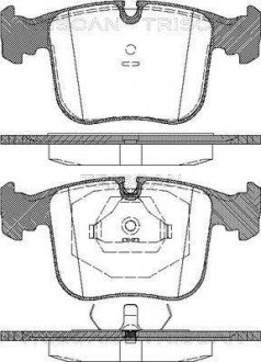 Тормозные колодки передние TRISCAN 811011012