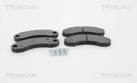 Тормозные колодки передние TRISCAN 811023017