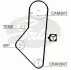 Комплект ГРМ Citroen Berlingo/Peugeot Partner/Expert 1.8 96- TRISCAN 864710006 (фото 2)