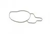 Насос воды MB C-class (W202/S202/W203/S203)/E-class (W210/S210) 2.2/2.7CDI 97-09 TRUCKTEC 02.19.168 (фото 9)