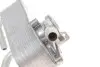 Радиатор масляный АКПП BMW 3 (E90) (N52/N53)/X1 (E84) (N20/N52) 04-13 (теплообменник) Van Wezel 06003350 (фото 2)