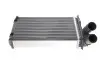 Радиатор печки Citroen Berlingo/Peugeot Partner 1.0-2.0 HDi/D 96- (157x234x42) Van Wezel 09006055 (фото 4)
