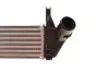 Радіатор інтеркулера Dacia Duster/Logan/Sandero 1.5 dCi 08- Van Wezel 15004006 (фото 4)