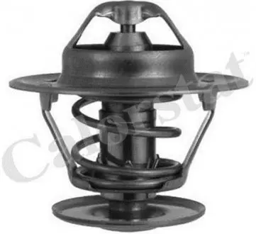 Термостат Ford Escort III, IV/Sierra/SEAT Ibiza I 1.2-1.8D 84-93 (80C) Vernet TH133580J