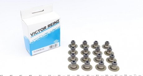 Комплект сальників клапанів VICTOR REINZ 12-53438-02 (фото 1)