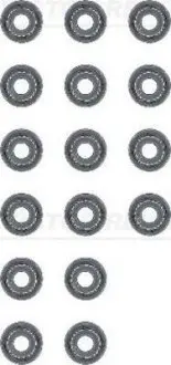 Сальник клапана (впуск/випуск) (к-кт) Hyundai Acce VICTOR REINZ 12-53678-01