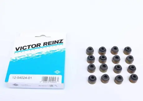 Сальник клапана (впуск/выпуск) Toyota RAV 4 00- VICTOR REINZ 12-54024-01