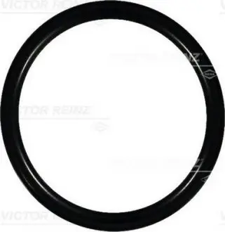Уплотнительное кольцо VICTOR REINZ 407608800