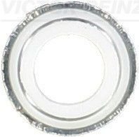 Уплотнительное кольцо, стержень кла VICTOR REINZ 702579200
