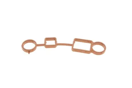 Прокладка крышки ГРМ Audi A3/Seat Leon/Toledo 08- Vika 11031792601