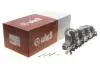 Колектор впускний VW Passat/Golf 2.0TDI 05-10 Vika 11291785701 (фото 2)