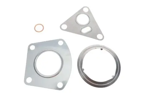 Комплект прокладок турбины VW T5 2.5 TDI 03-08 Vika 11451790901