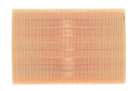 Фильтр воздушный BMW 3 (E36/E46)/5 (E39)/X3 (E83) 90-07 (M52/M54) WIX FILTERS WA6192