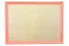 Фільтр повітряний Renault Master/Opel Movano/Nissan Interstar 3.0DCI 03- WIX FILTERS WA9519 (фото 1)