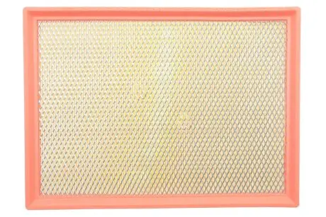 Фільтр повітряний Renault Master/Opel Movano/Nissan Interstar 3.0DCI 03- WIX FILTERS WA9519