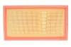 Фильтр воздушный Citroen C4/C5/Jumpy/Peugeot Expert/3008/308/508/5008 2.0 BlueHDi 13- WIX FILTERS WA9794 (фото 1)