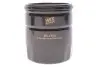 Фільтр масляний Ford Focus III/Mondeo V/Galaxy/Kuga 2.0 TDCi 14- WIX FILTERS WL7524 (фото 1)