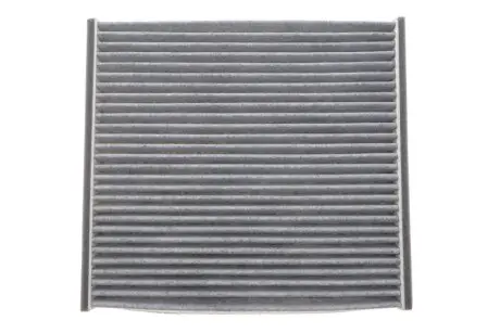 Фільтр салону Toyota Yaris 99-05/Rav4 00-06/Subaru Legacy/Outback 08-09 (вугільний) WIX FILTERS WP9193