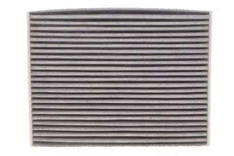 Фільтр салону Renault Trafic III 14-/Scenic III 09- (вугільний) WIX FILTERS WP9383